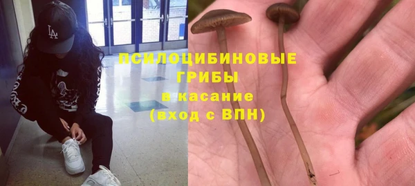 первитин Туринск