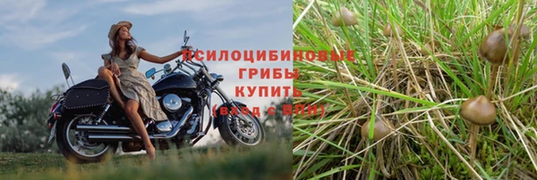 первитин Туринск