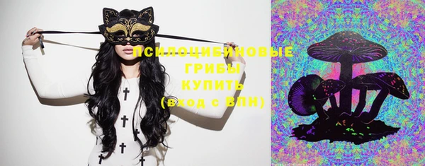 первитин Туринск