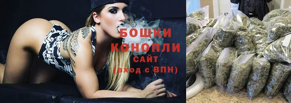 первитин Туринск