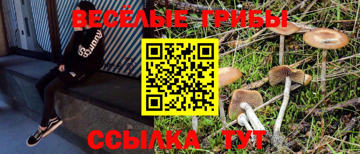 Псилоцибиновые грибы MAGIC MUSHROOMS  Псилоцибиновые грибы мухоморы  Белая Калитва  Вход с VPN 