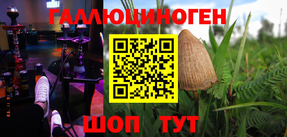 Галлюциногенные грибы прущие грибы Белая Калитва