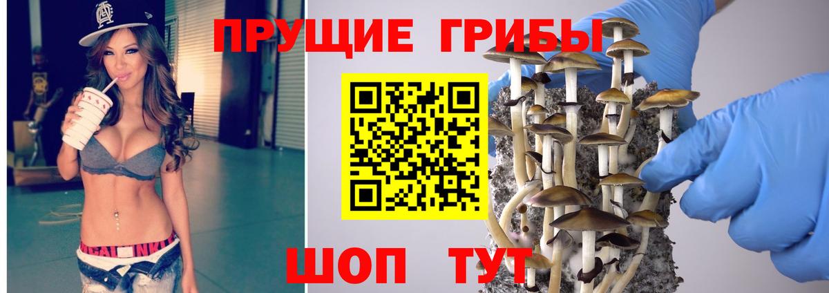 Псилоцибиновые грибы Cubensis Белая Калитва