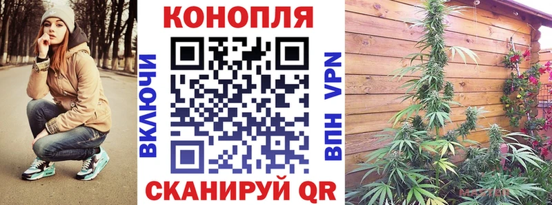 MEGA ONION  Белая Калитва  Марихуана планчик 